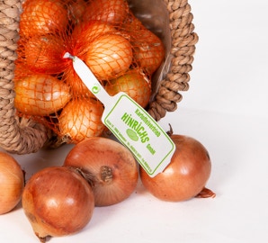 helle Zwiebeln in Korb