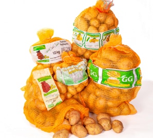 Kartoffeln festkochend